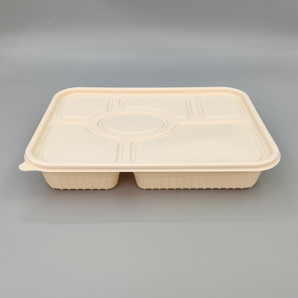 Disposable Cornstarch To Go Lunch Box PP Corn Starch Food Container