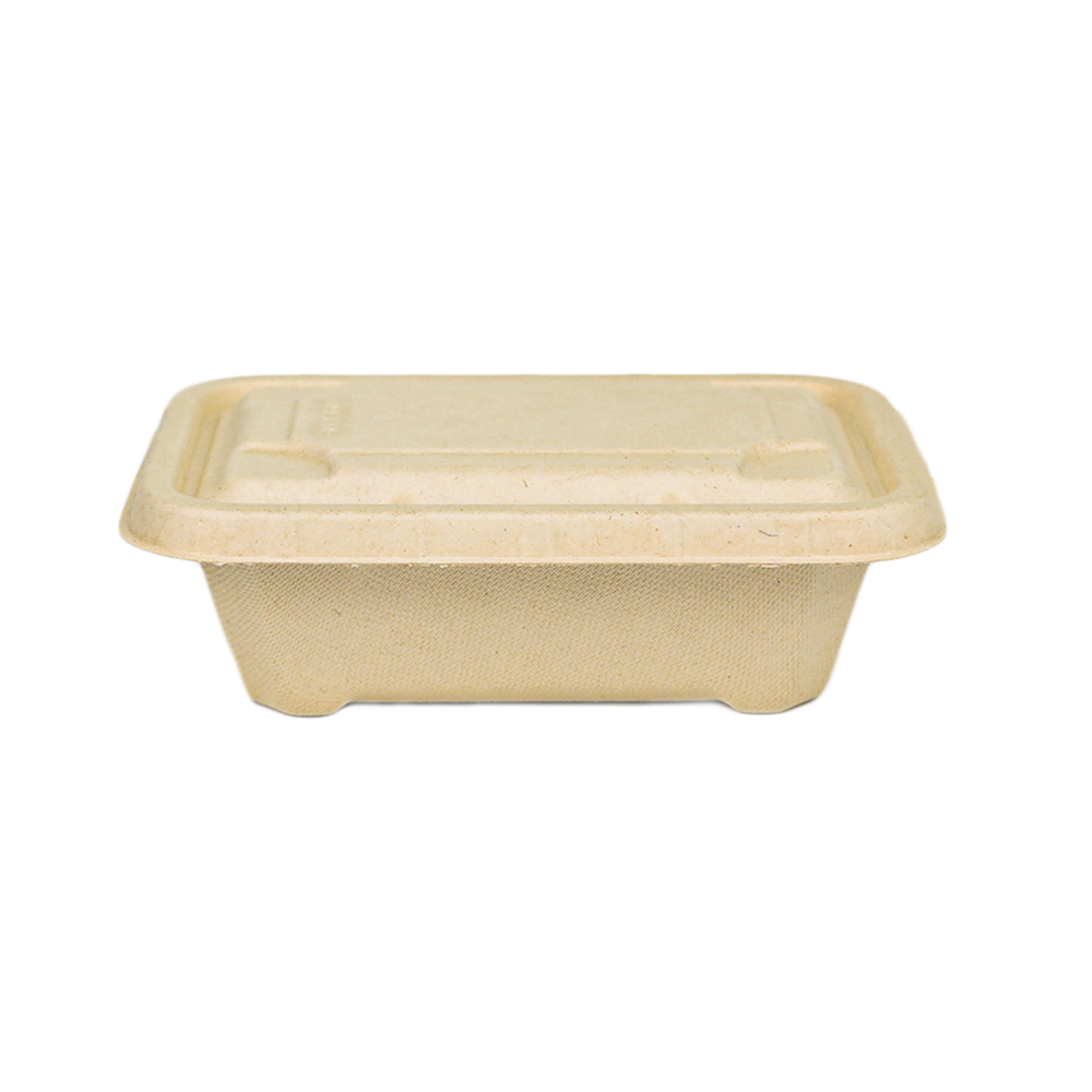 500ml Sturdy Biodegradable Bamboo Paper Lunch box with Lid