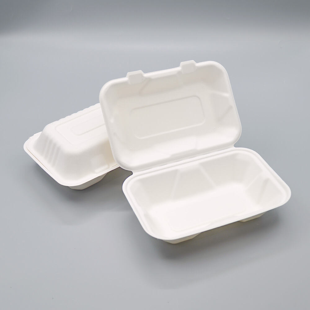 Durable Bagasse Takeaway Lunch Packaging Disposable Clamshell Box
