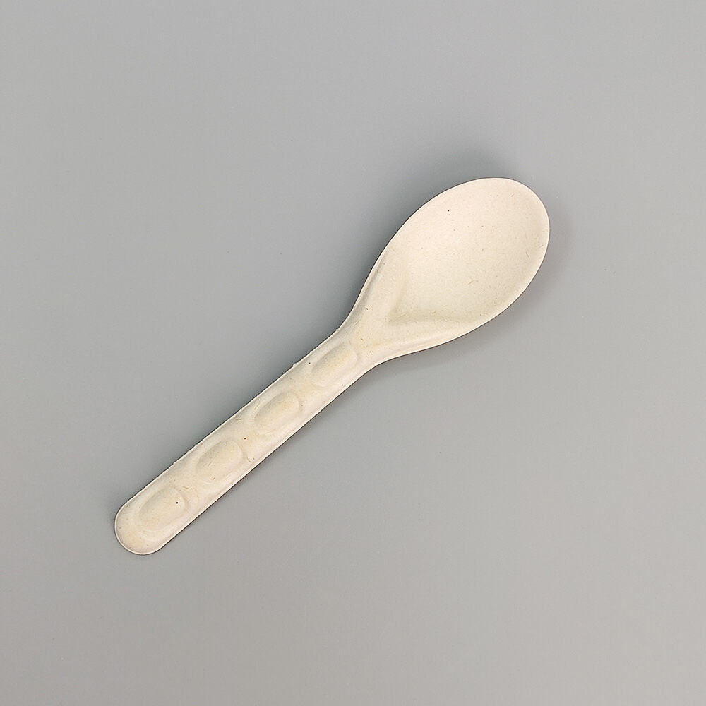Eco Friendly Biodegradable Bagasse Sugarcane Spoon Cutlery