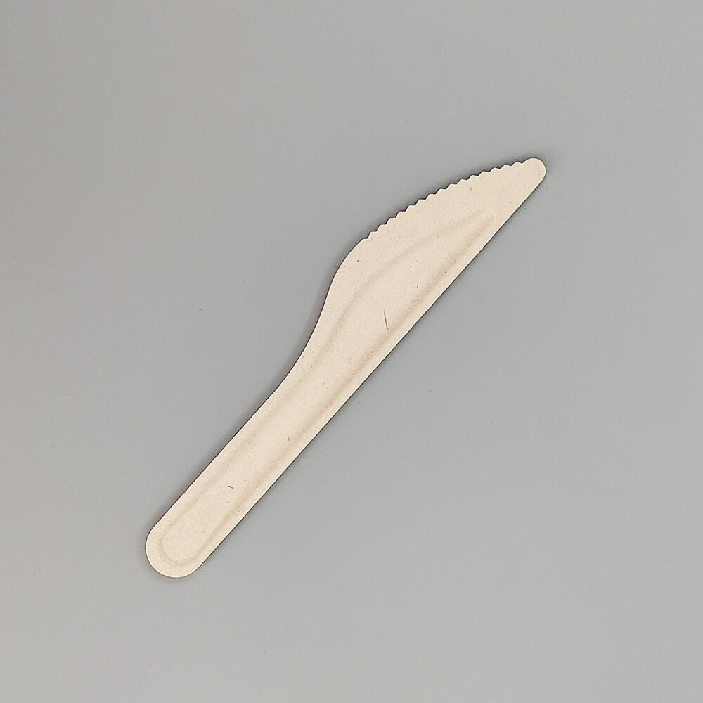 Compostable Sugarcane Bagasse Paper Fiber Pulp Knife Cutlery
