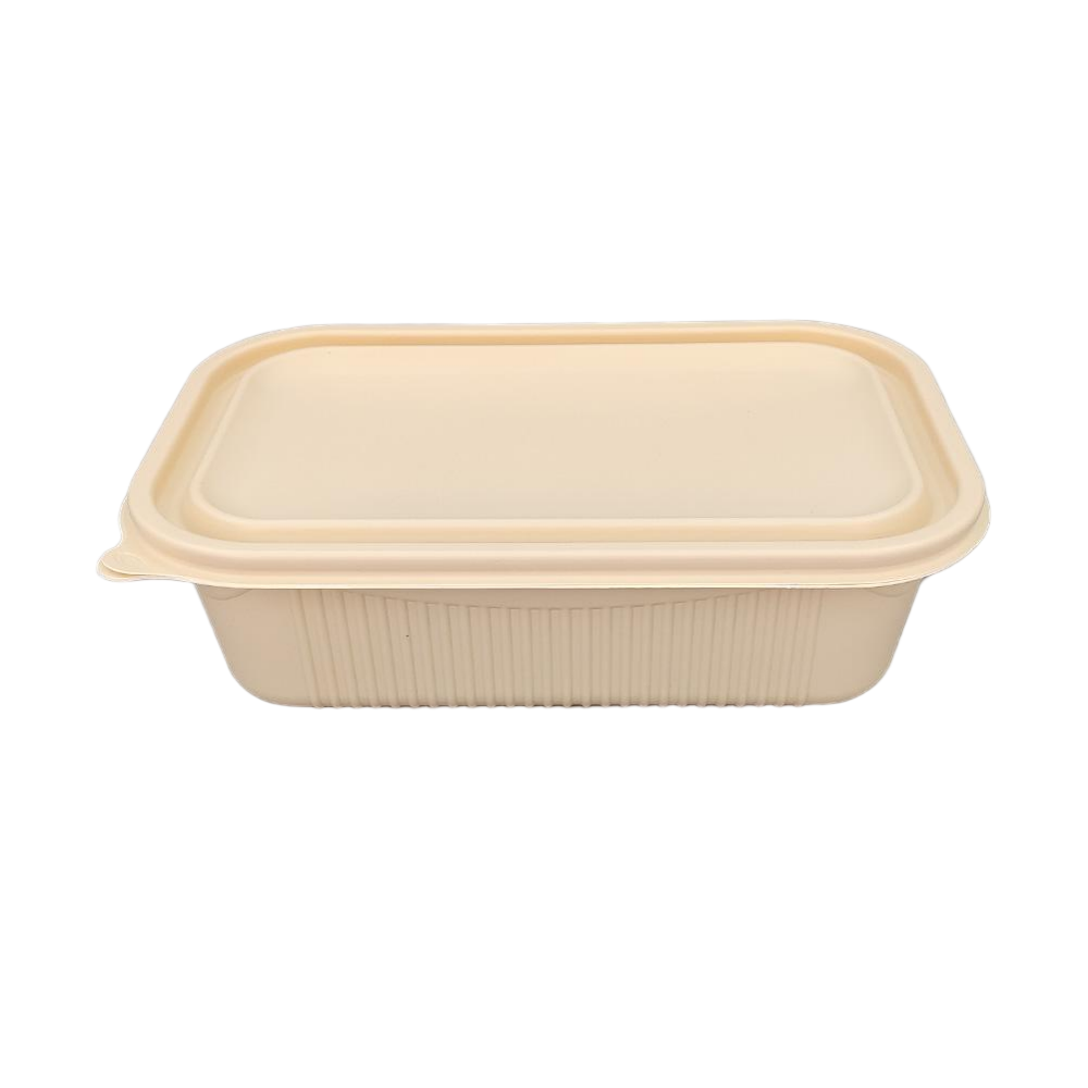 Takeaway Lunch Box