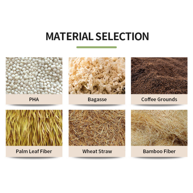 Top biodegradable tableware materials for a greener future