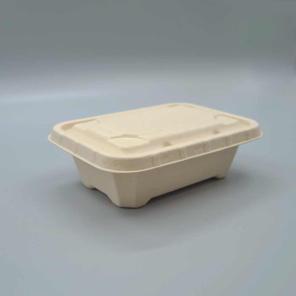 Microwave Safe Biodegradable Bagasse Rectangle Lunch Box with Lid
