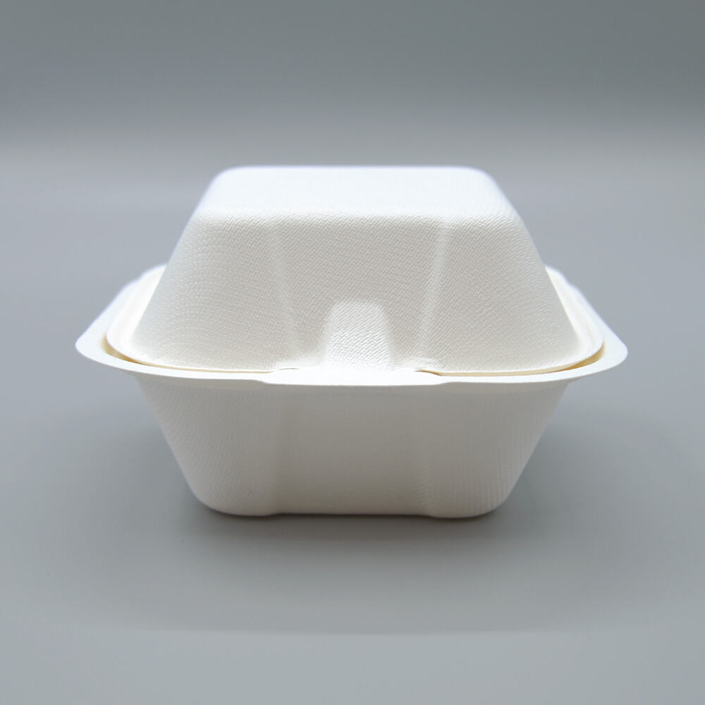 OEM Bagasse Burger Boxes with Custom Logo Printing for Food Brands