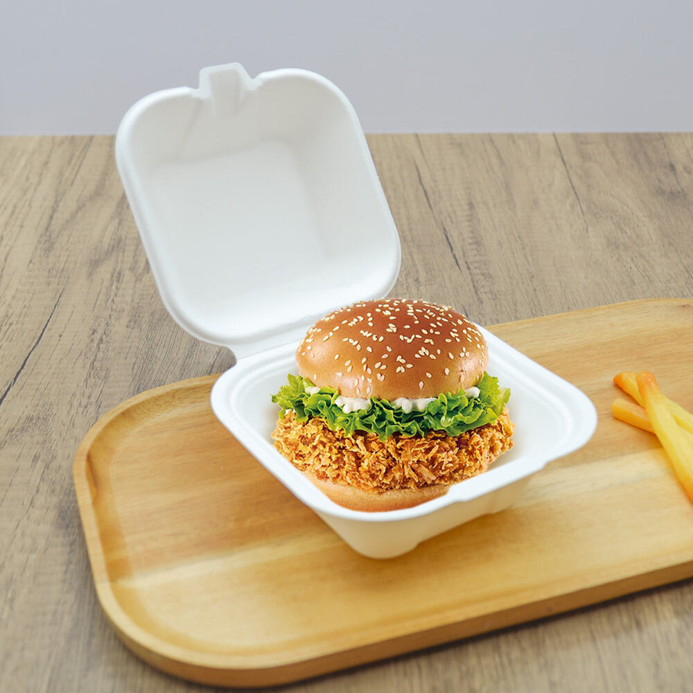 Biodegradable 4 Inch Bagasse Burger Boxes with Private Label Packaging Service