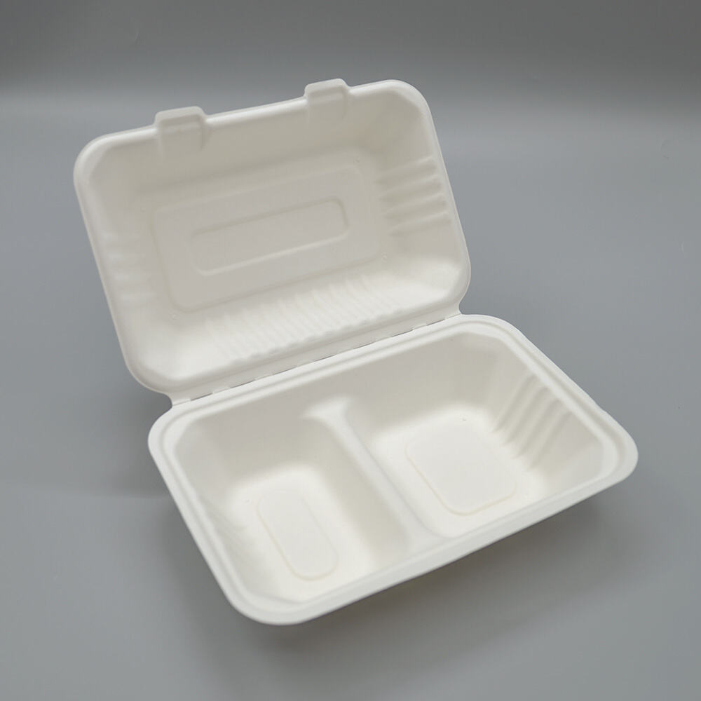 9*6 Biodegradable Takeaway Lunch Packaging 2-Compartment Clamshell Box