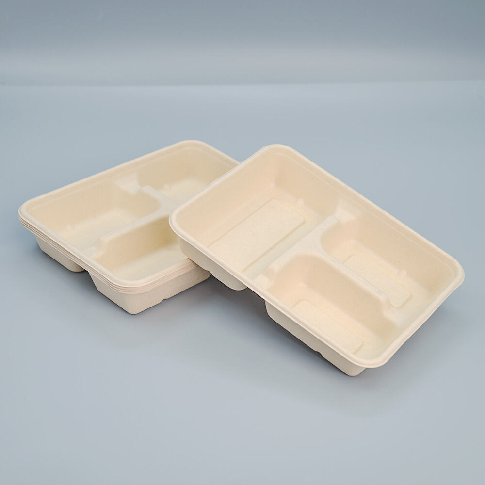 1100ml Disposable 3-Compartment Bagasse Sugarcane Pulp Food Tray