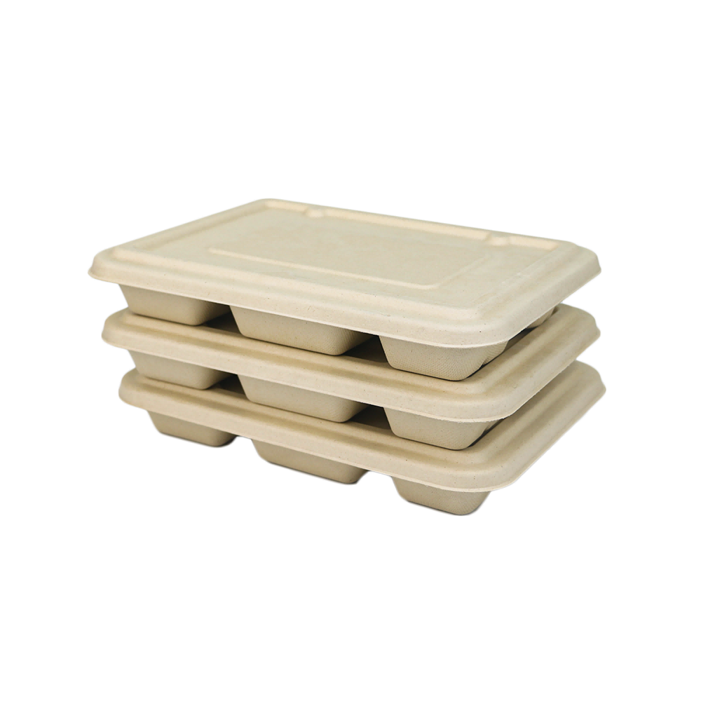 5-compartment Rectangular Compostable Bamboo Pulp Takeout Lunch Food Tray